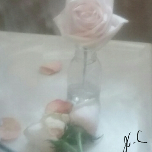 Meet your Posher, Liz - Picture 5 of 5